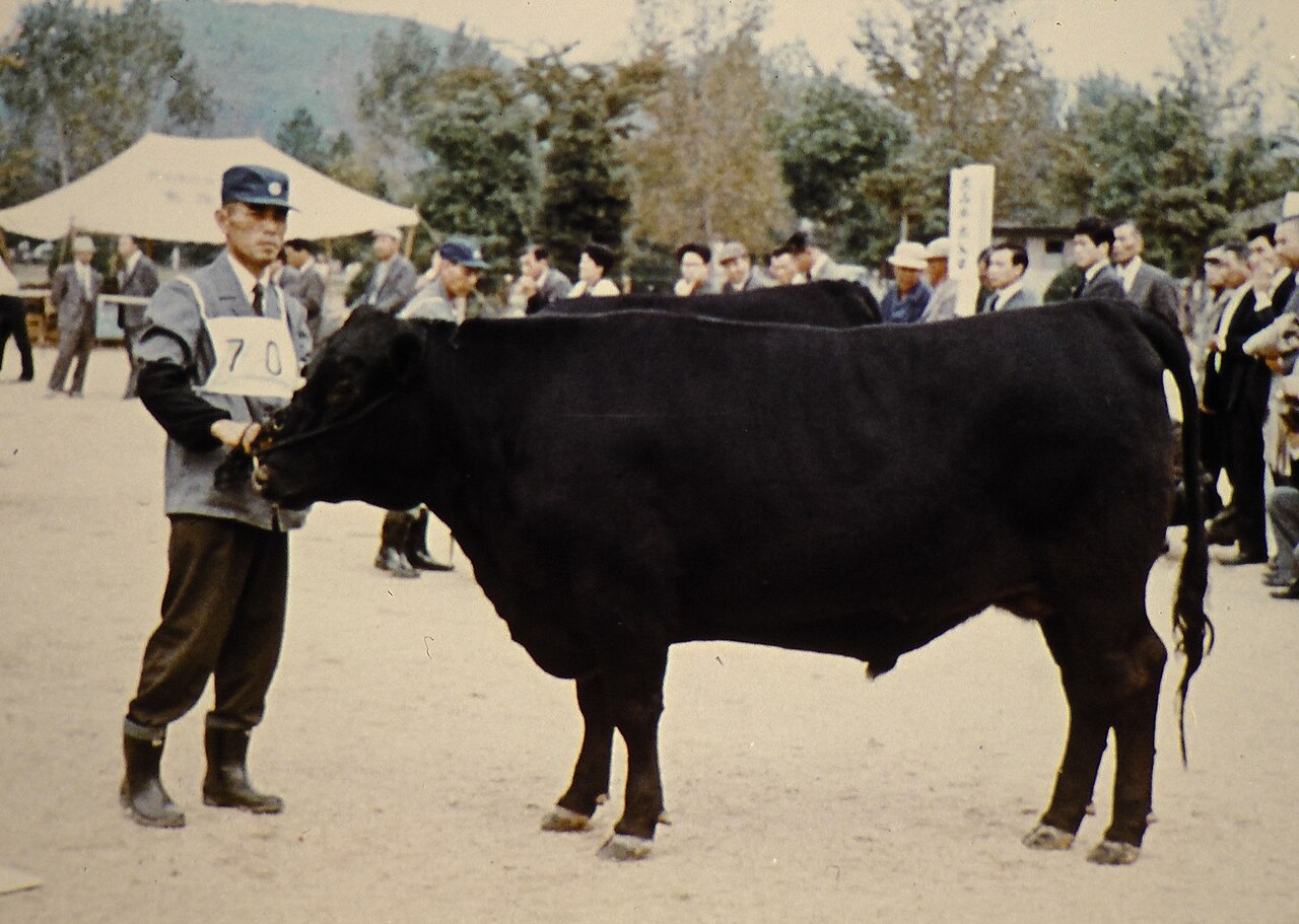 Japanese Polled
