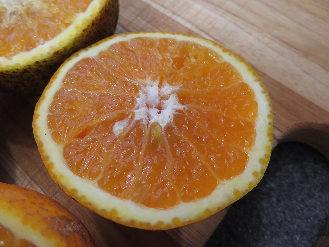 Citrus ×tangelo