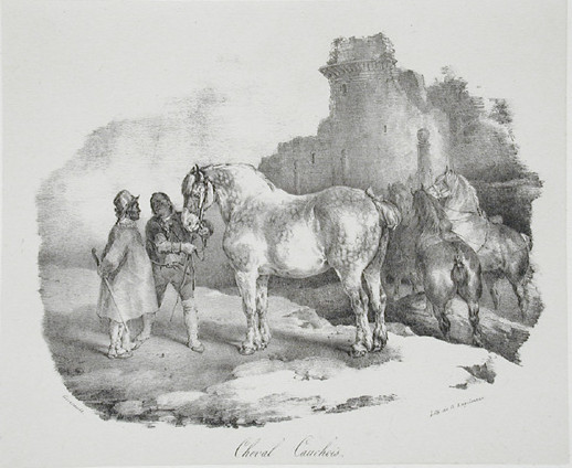 Cauchois horse