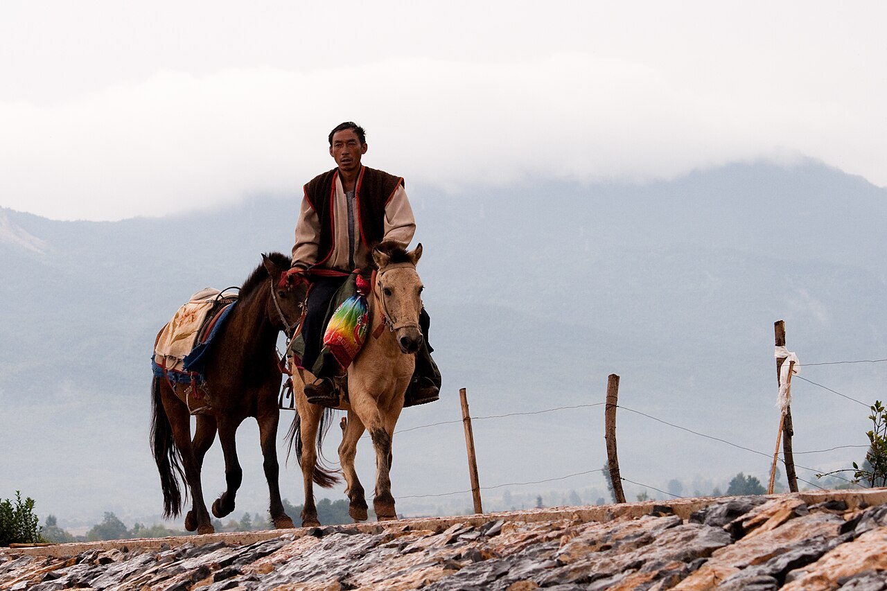 Lijiang pony