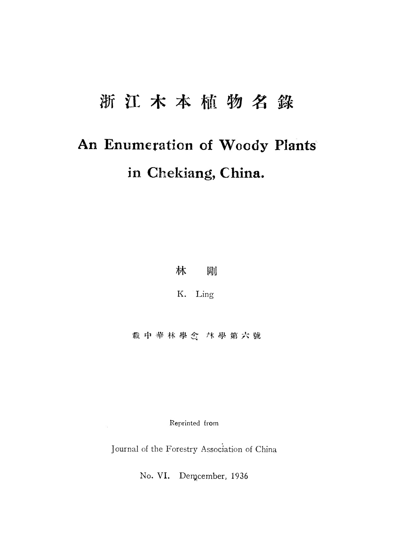Celtis balansae