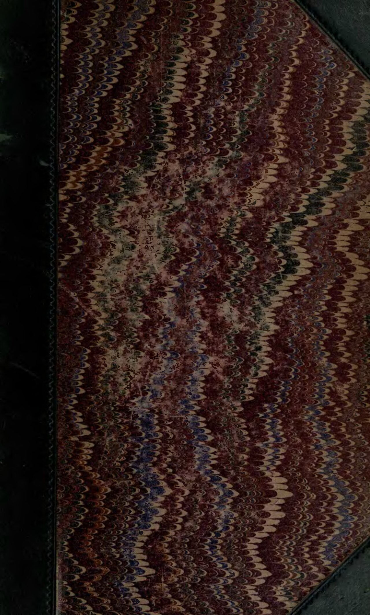 Pentasachme wallichii