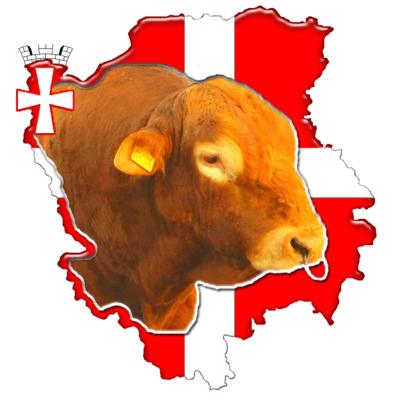 Volyn meat cattle