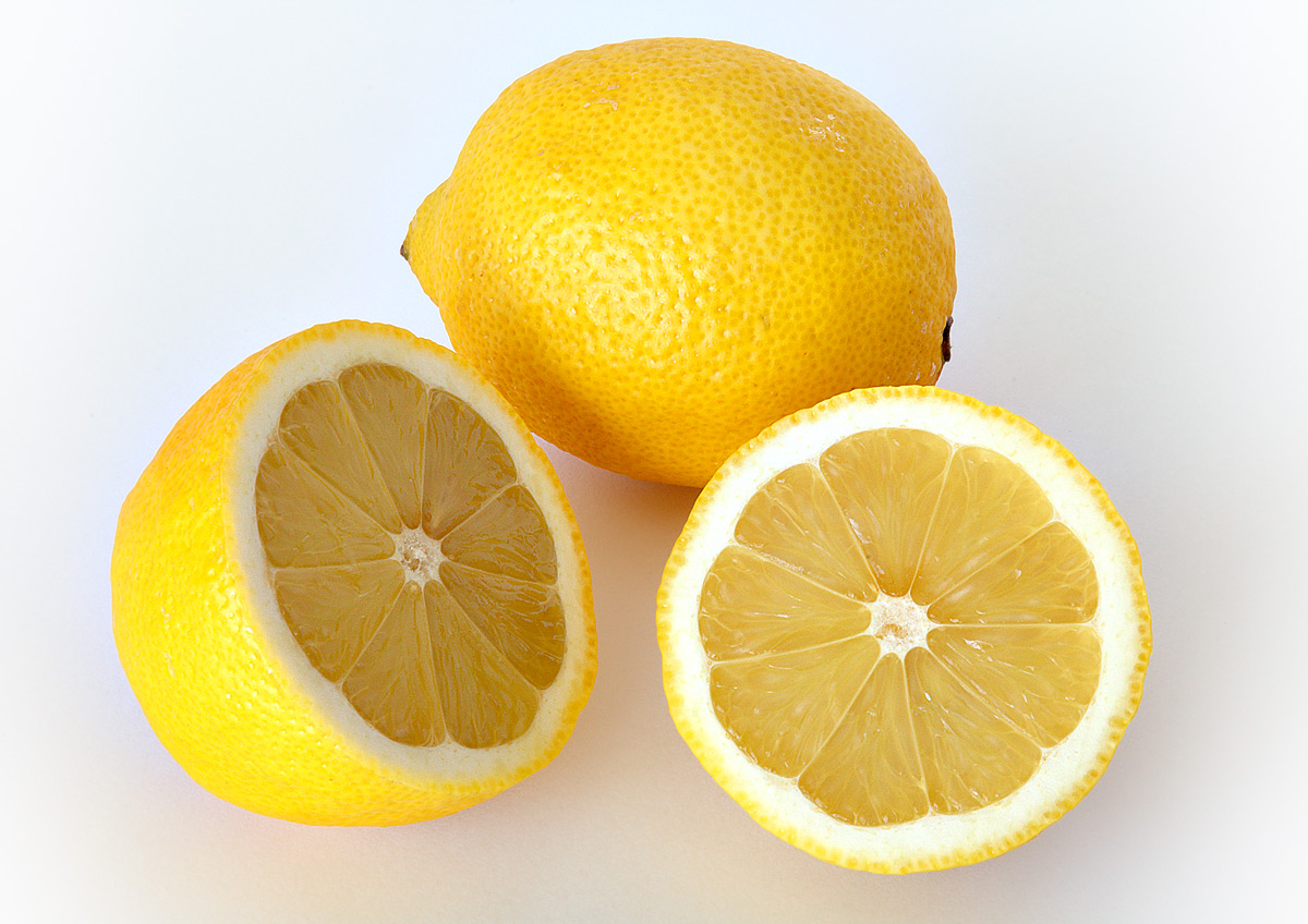 Citrus × limon