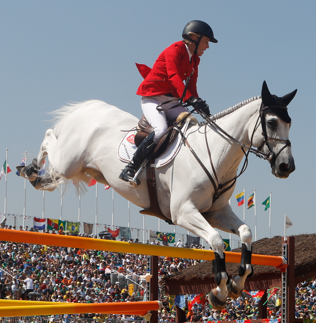 Swedish Warmblood