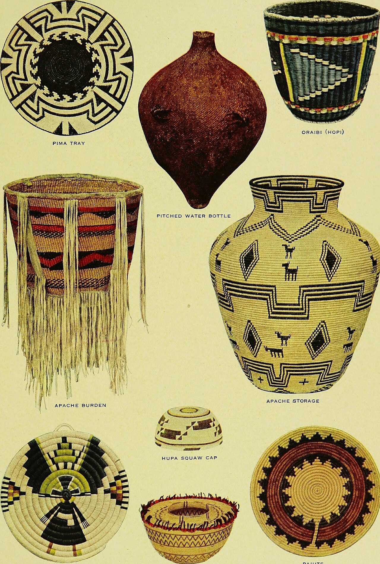 Eschweilera mexicana
