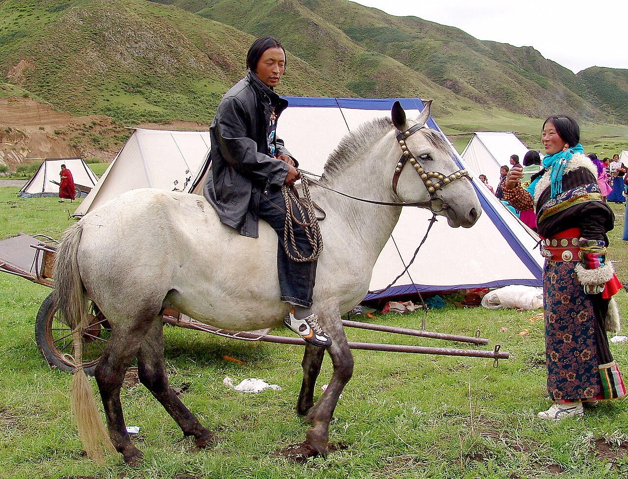 Hequ horse