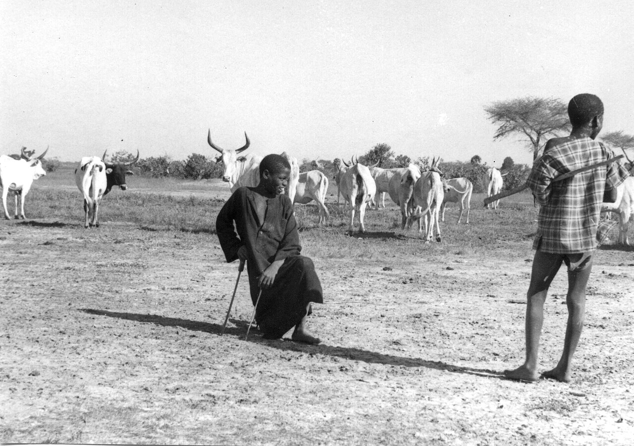White Fulani