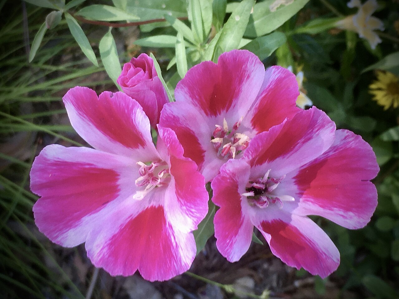 Farewell to spring