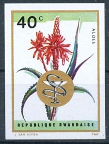 Aloe multicolor