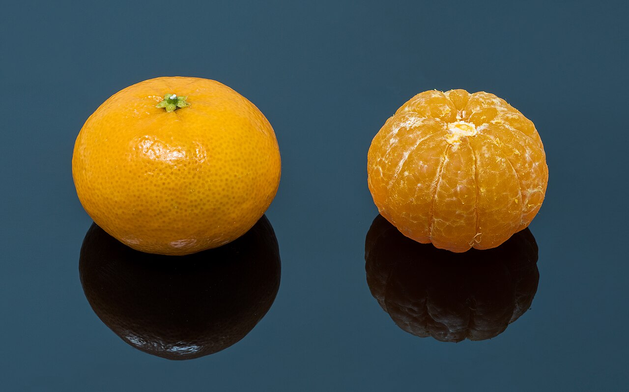 Citrus ×clementina
