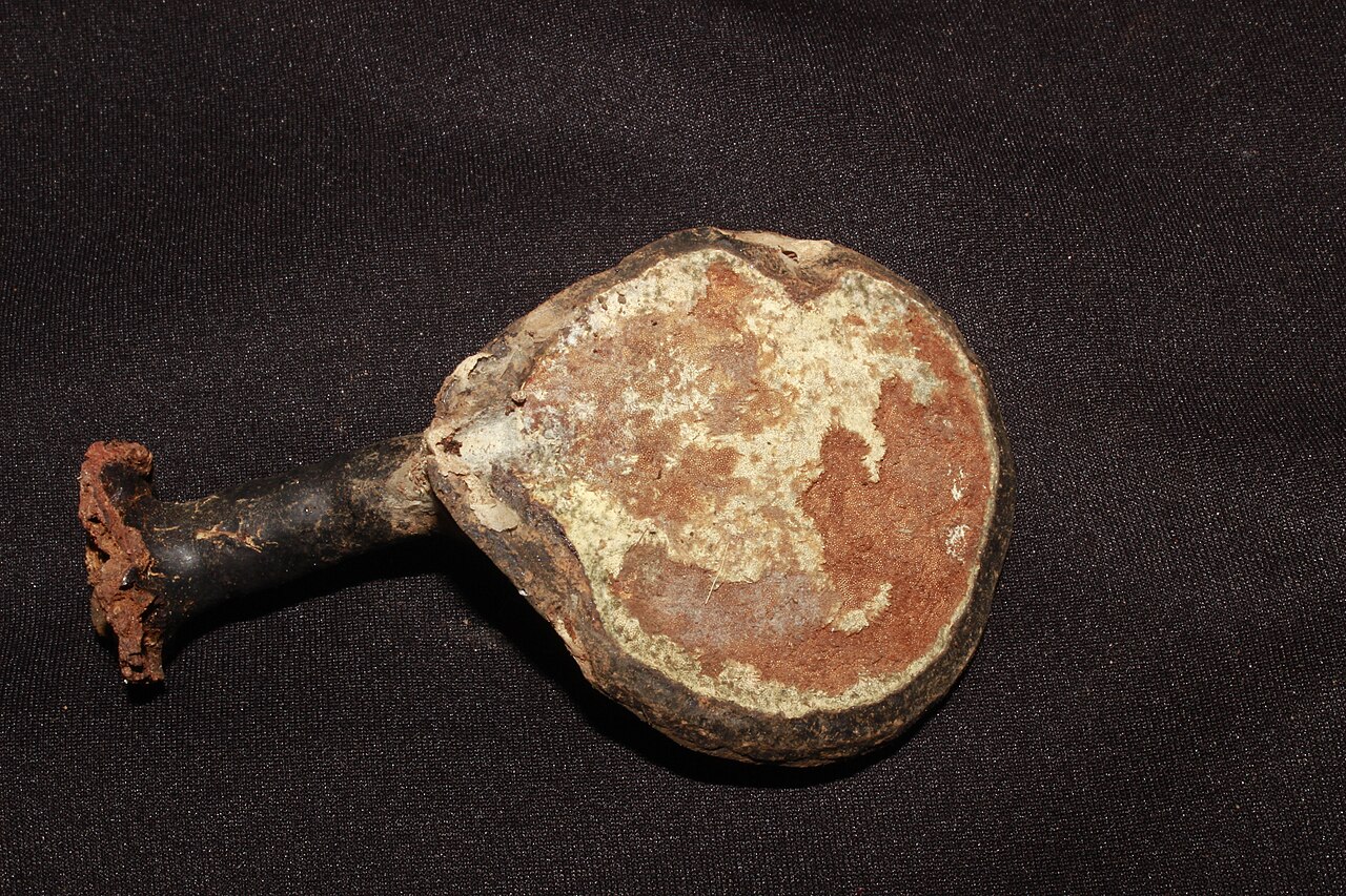 Ganoderma orbiforme