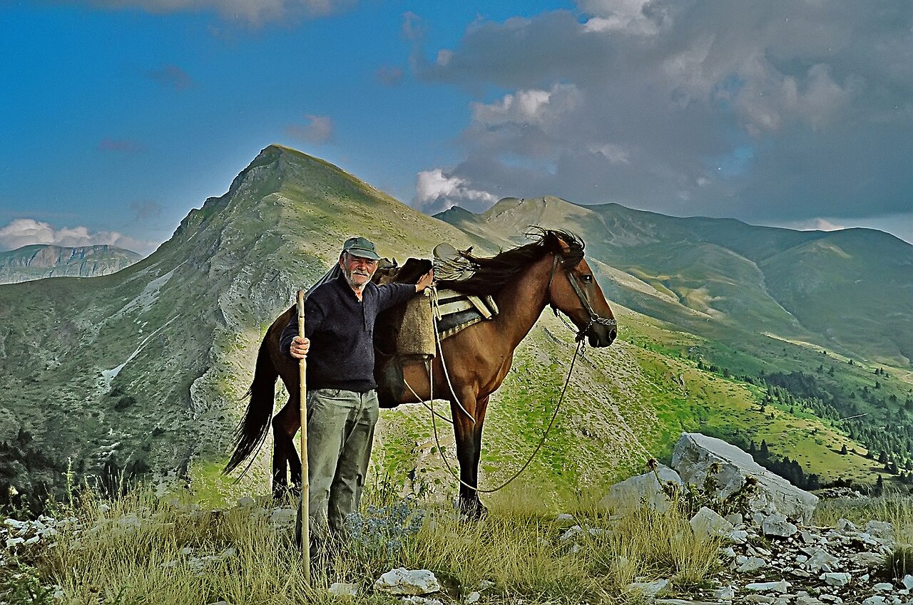 Pindos Pony