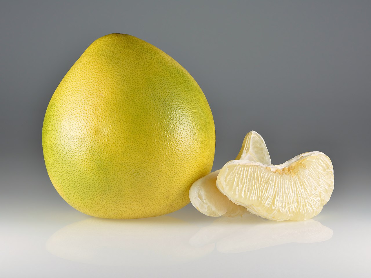 Citrus maxima