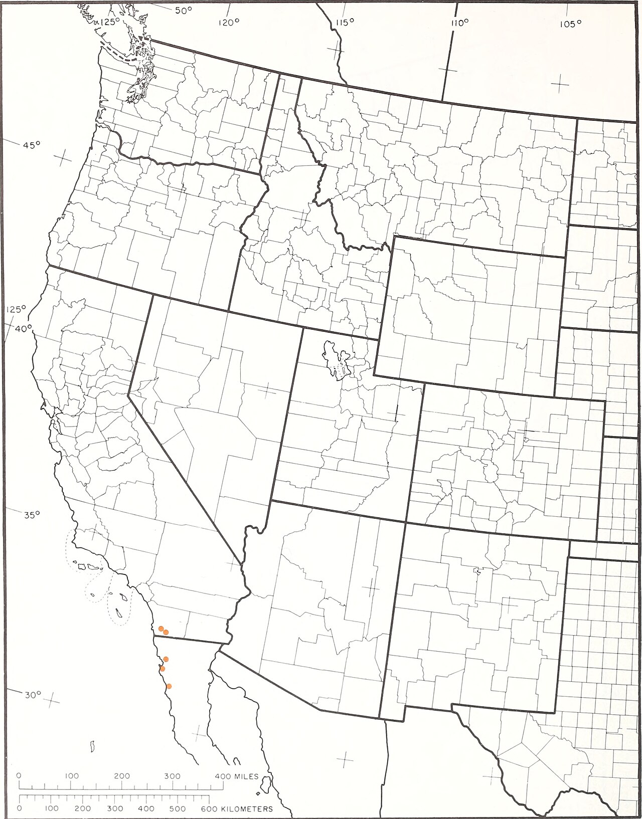 Fremontodendron mexicanum