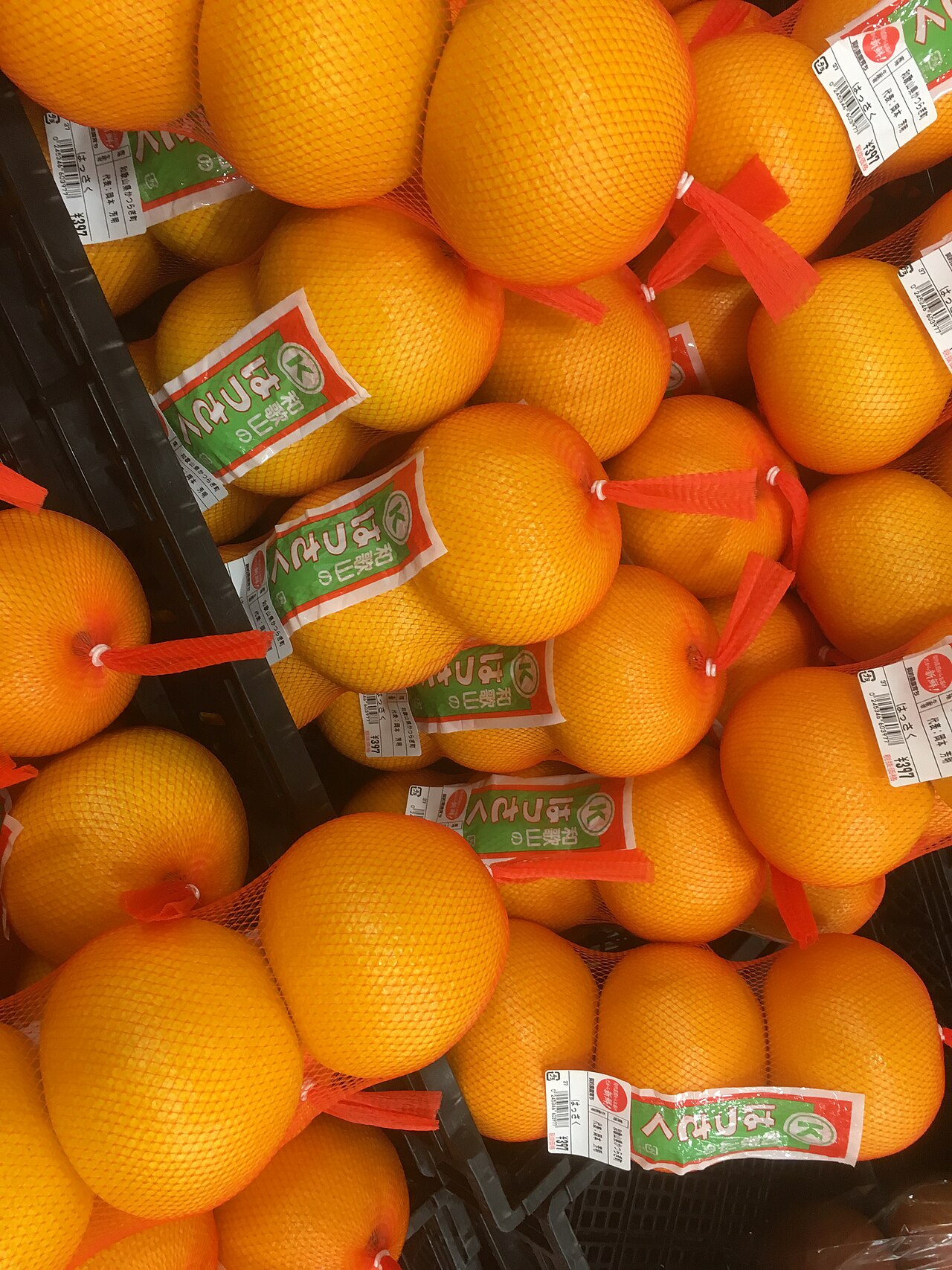 Citrus hassaku