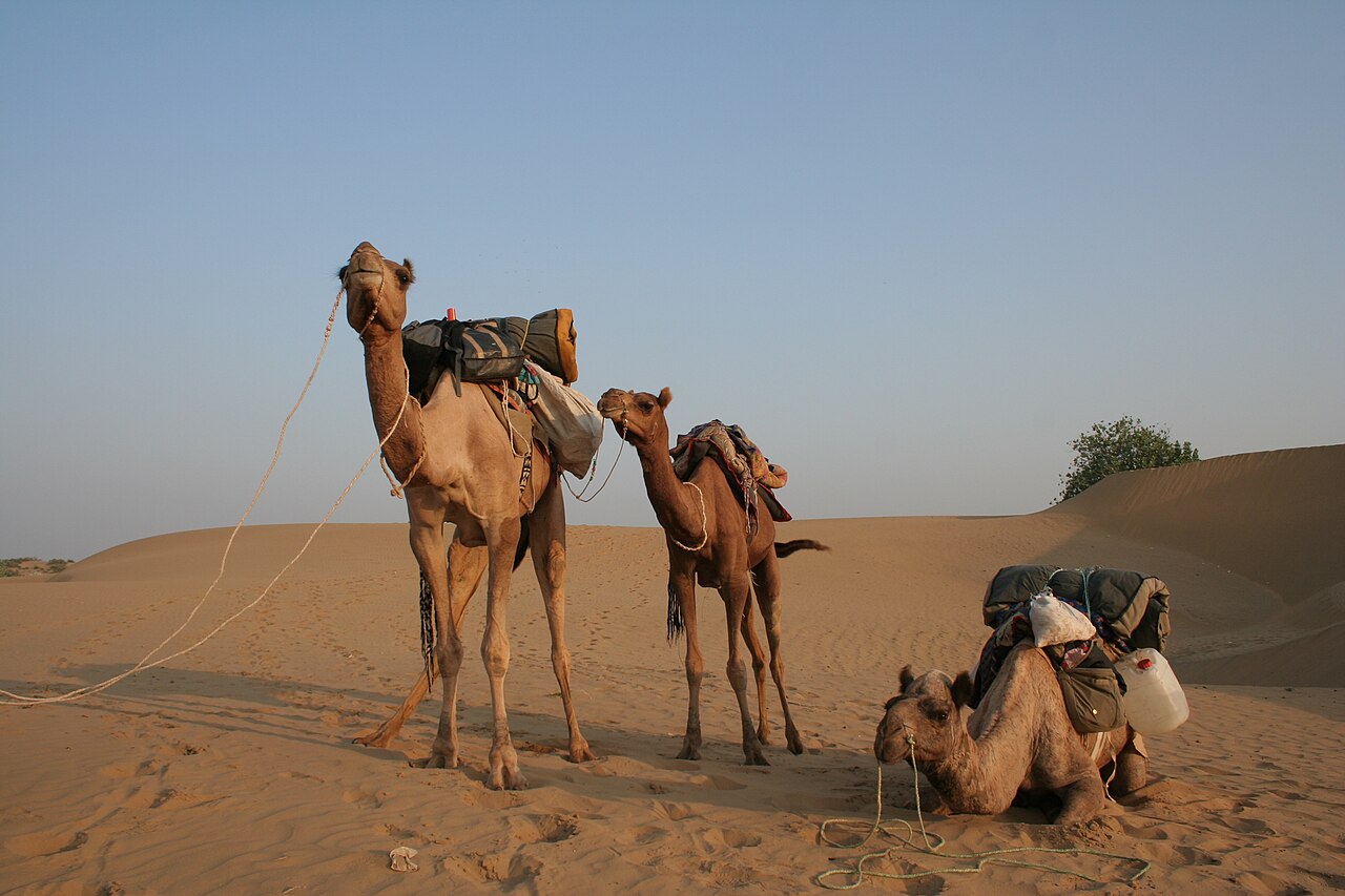 Jaisalmeri