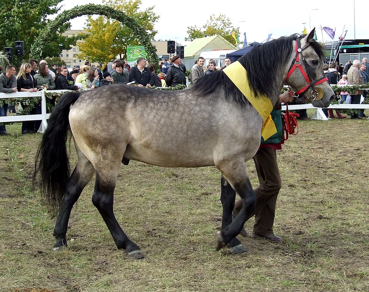 Žemaitukas