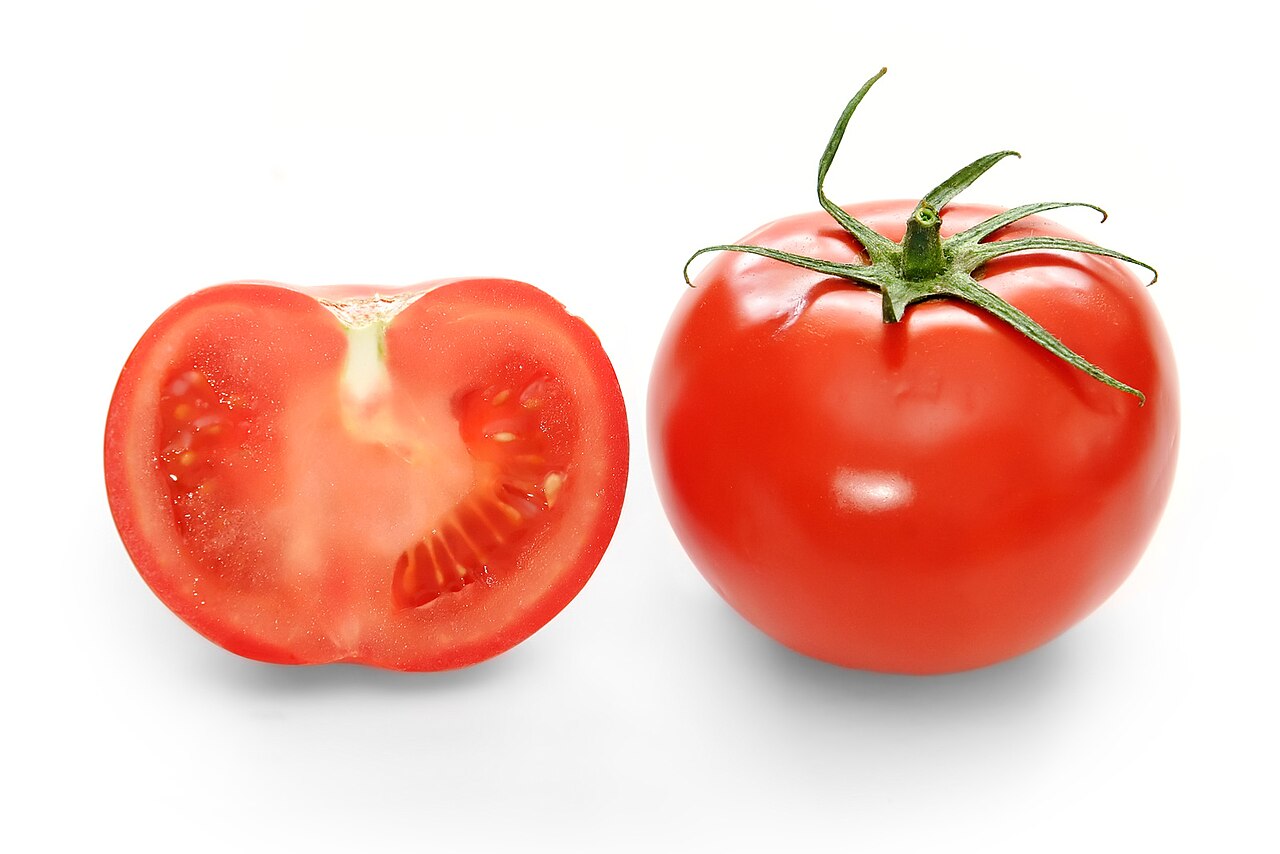 Solanum lycopersicum