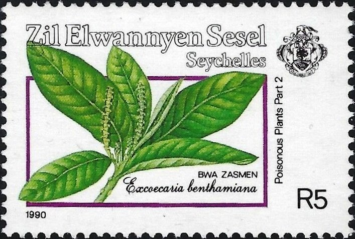 Excoecaria benthamiana