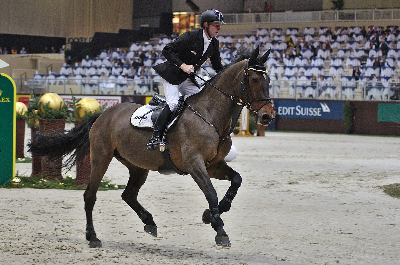 Bavarian Warmblood