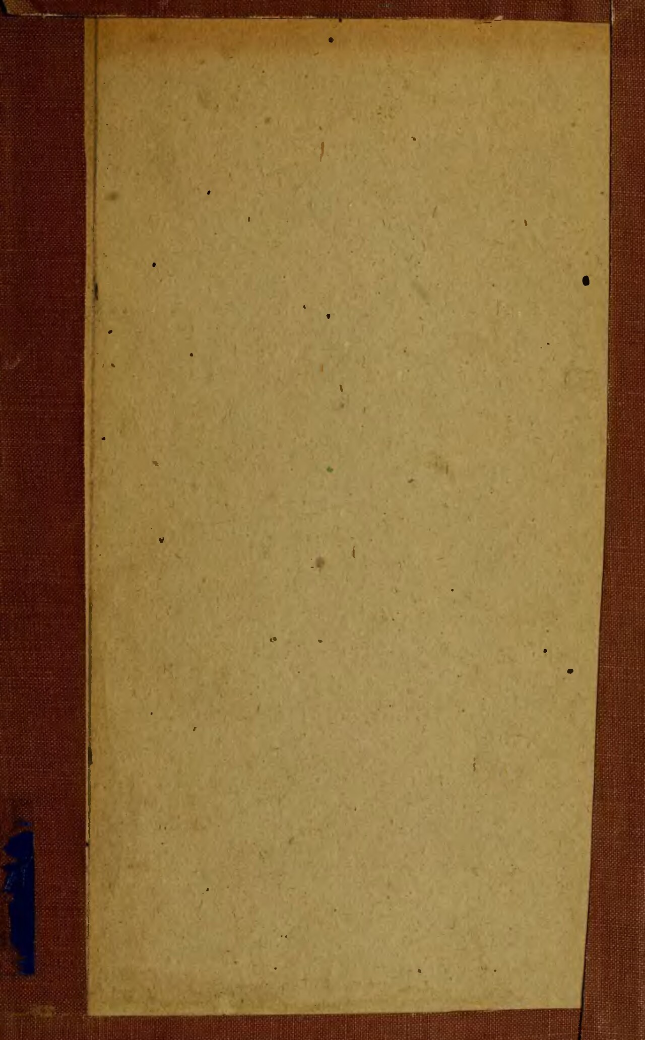 Bidens ochracea