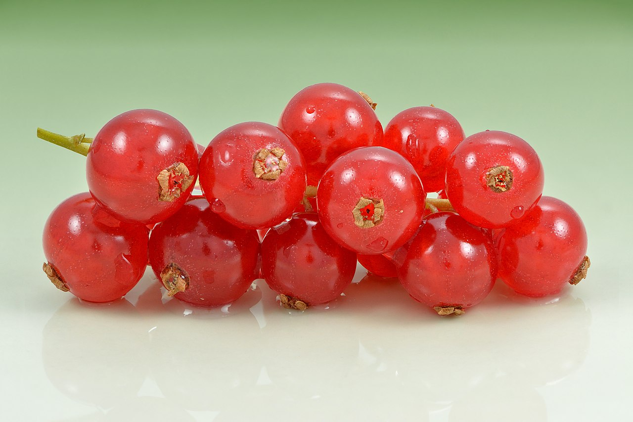 Currant Red