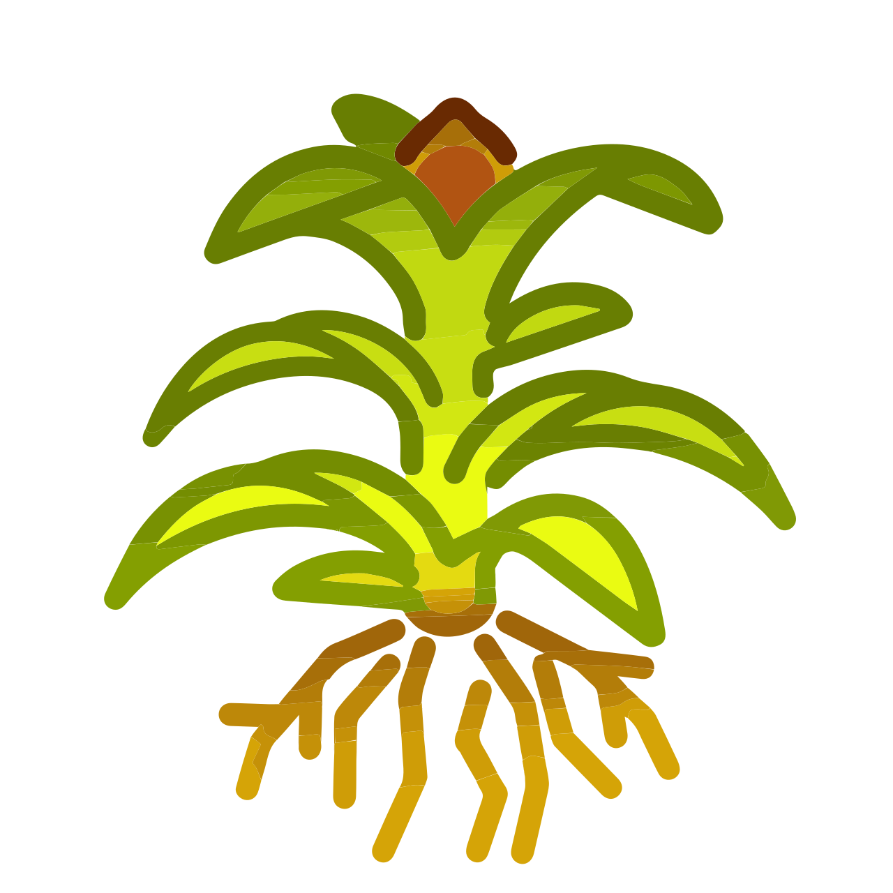 Physcomitrium patens