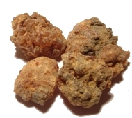 Commiphora myrrha
