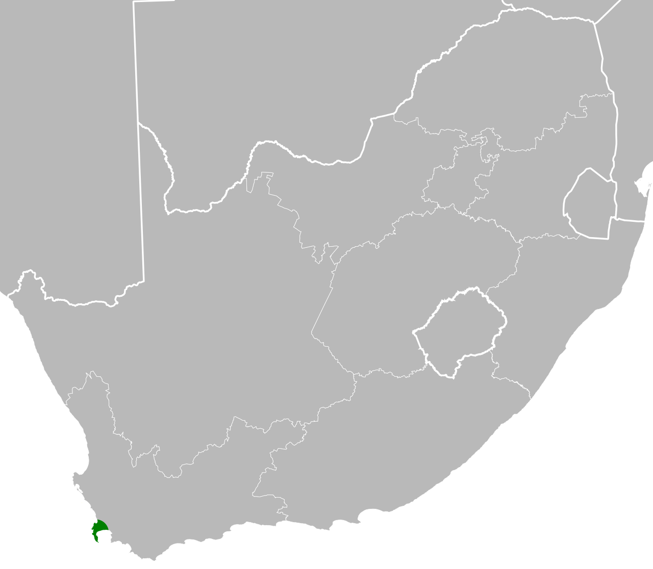 Liparia parva