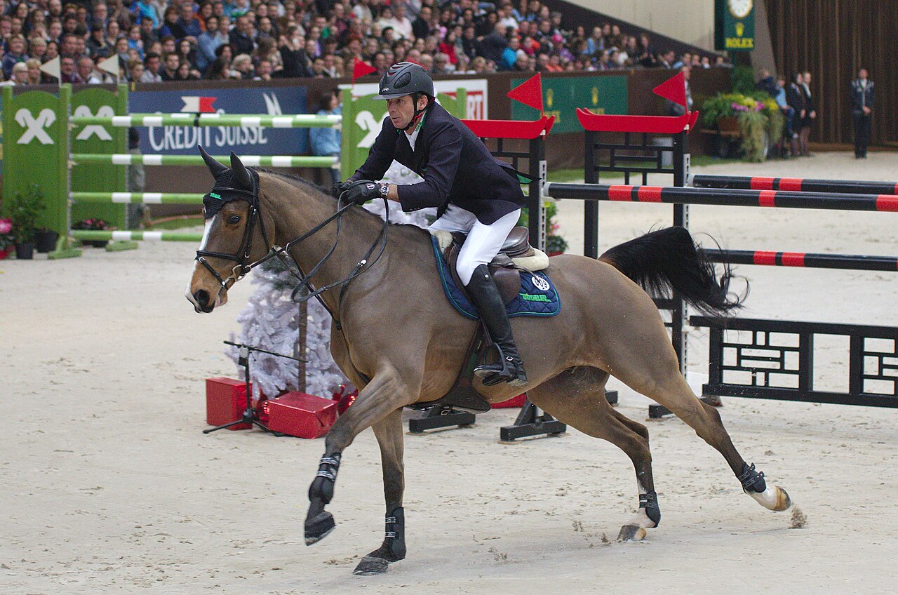 Oldenburg horse