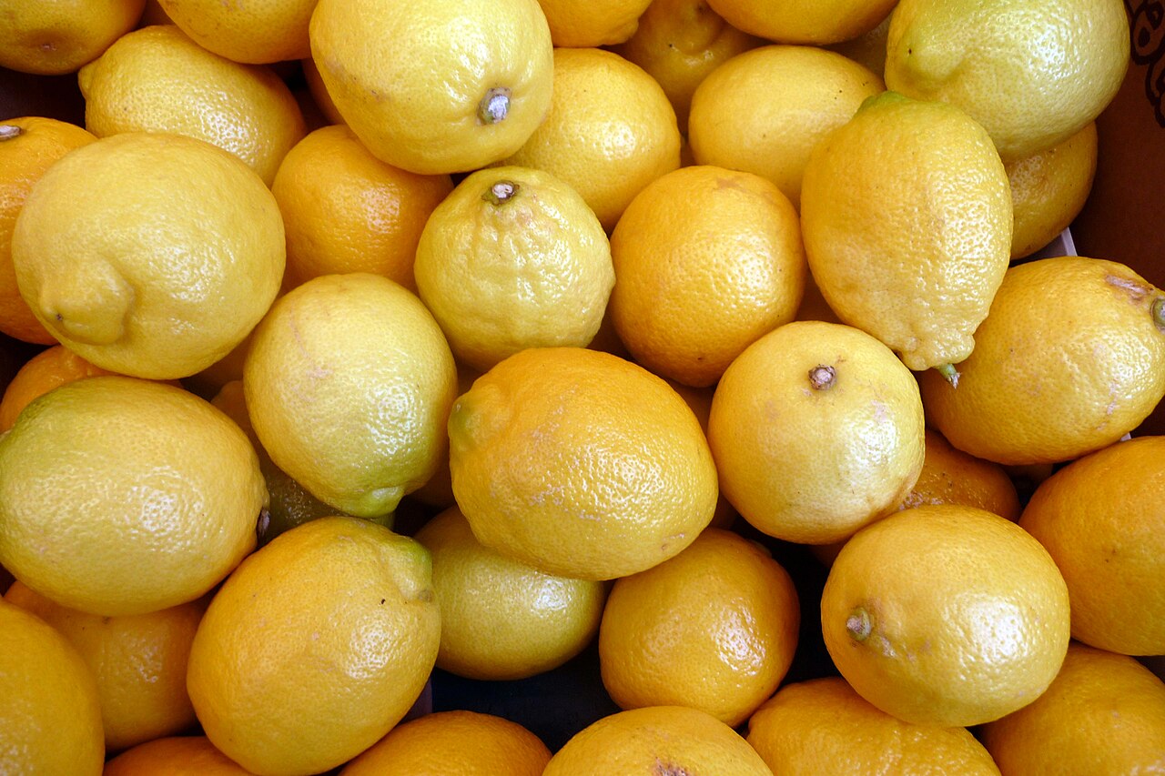Citrus medica