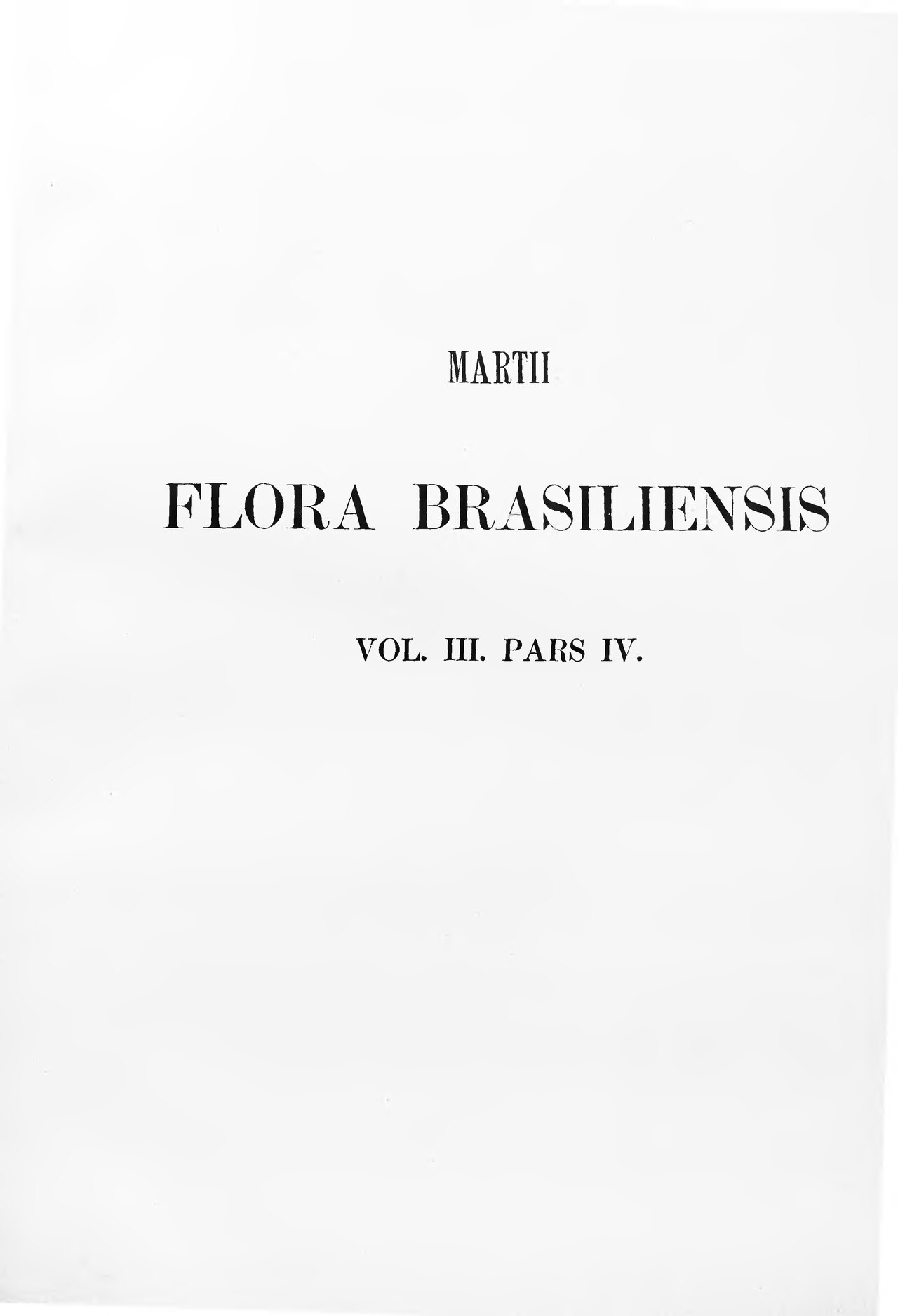 Blepharis uniflora