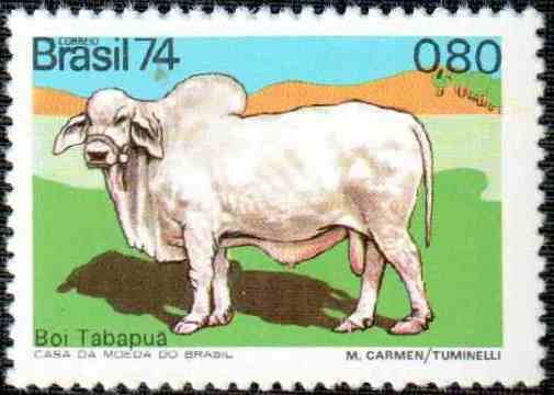 Tabapuan