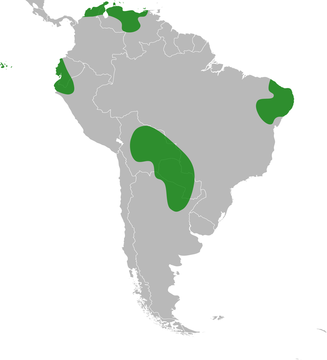 Geoffroea spinosa