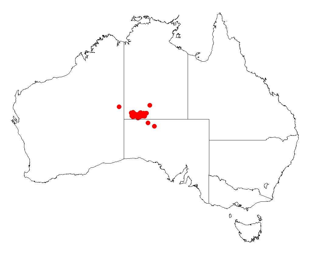 Acacia ammobia