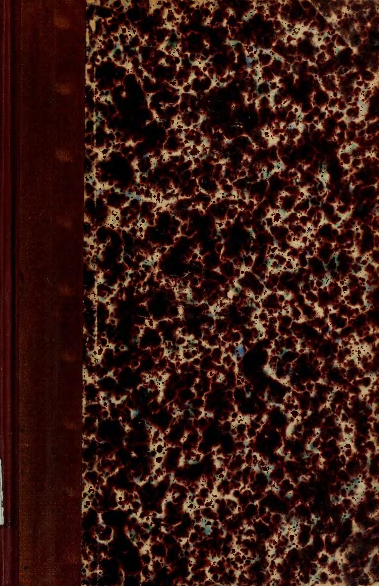 Mimosa diversifolia